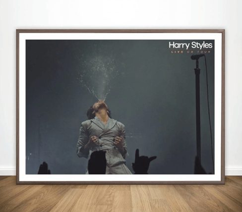 Harry Styles Poster #4