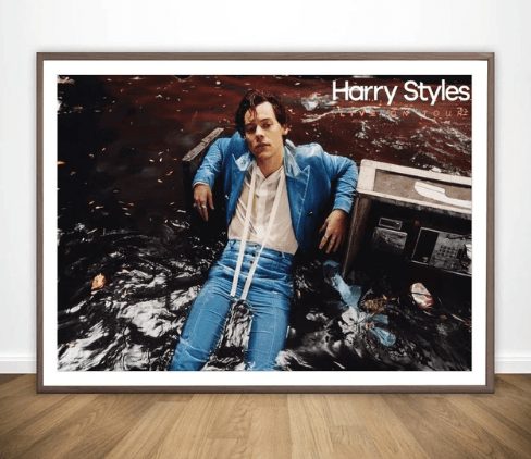 Harry Styles Poster #5
