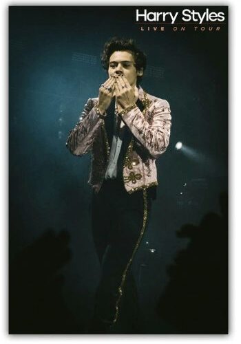 Harry Styles Poster #9